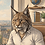 user-86c8a63d